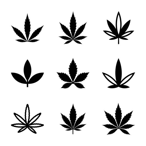 雑草、マリファナ ラインのグリフのアイコンを設定 - marijuana点のイラスト素材／クリップアート素材／マンガ素材／アイコン素材