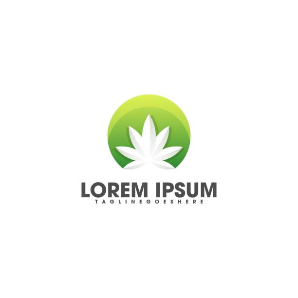 best dispensary in colorado