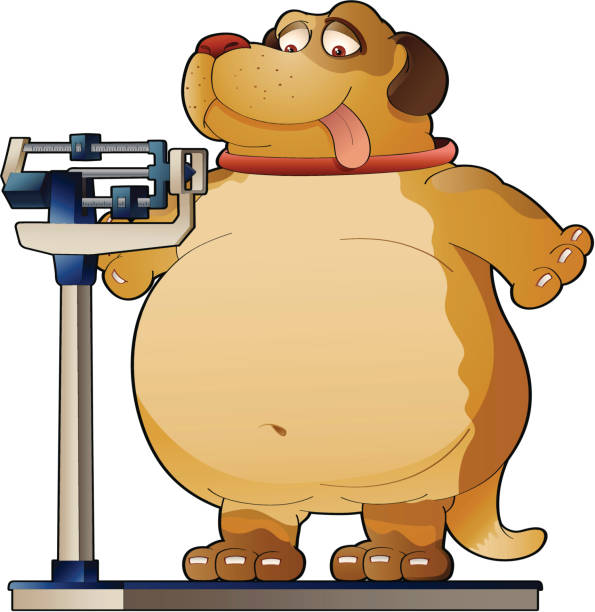 Top 60 Fat Dog Clip Art Vector Graphics and Illustrations Top 60 Fat Dog Clip Art Vector Graphics and Illustrations