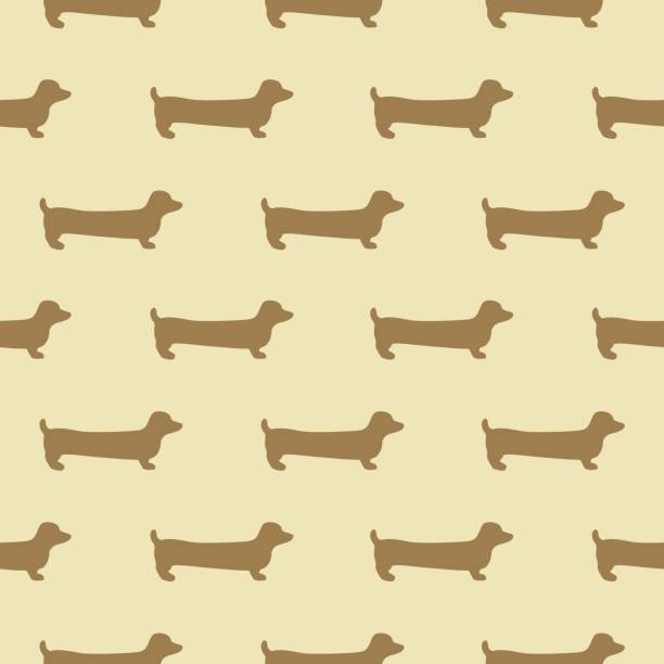 Wiener Dogs Backgrounds Illustrations, Royalty-Free Vector Graphics ...