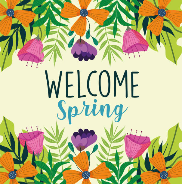 welcome spring seasonal welcome spring seasonal flowers decoration springtime stock illustrations