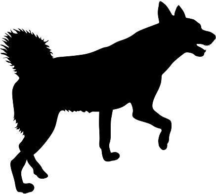 白い背景の上のコーギー犬シルエット イラストレーションのベクターアート素材や画像を多数ご用意 Istock