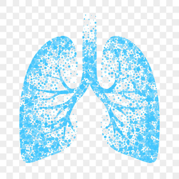 濕咳嗽向量圖示。藍色肺、冷濕咳嗽治療和支氣管炎粘液溶解 - 呼吸系統 幅插畫檔、美工圖案、卡通及圖標