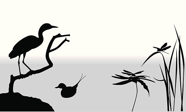 Wetlands Vector Silhouette A-Digit heron family stock illustrations