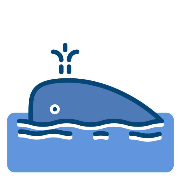 illustrations, cliparts, dessins animés et icônes de baleine dessin icône mignon avec fontaine d’eau dans l’océan. rempli de vector illustration mince contour - event