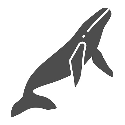 クジラの固体アイコン海のコンセプト白い背景にシャチのサインモバイルコンセプトとウェブデザインのためのグリフスタイルのマッコウクジラのアイコンベクターグラフィックス アイコンのベクターアート素材や画像を多数ご用意 Istock