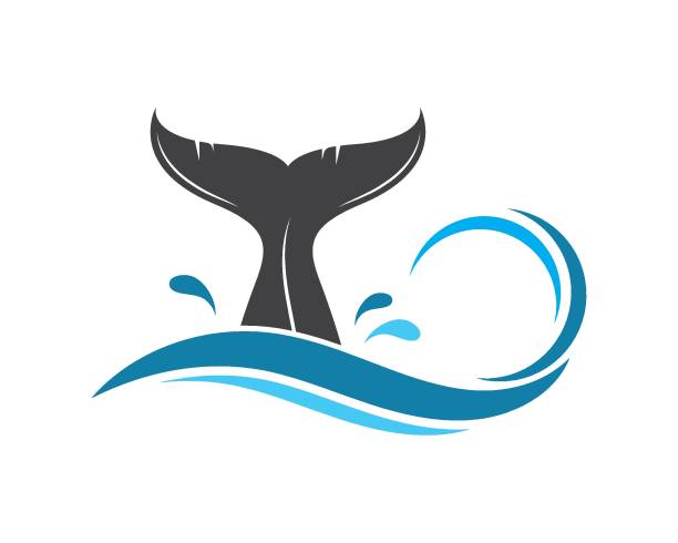 illustrations, cliparts, dessins animés et icônes de conception d'illustration de vecteur d'icône de queue de baleine - beluga