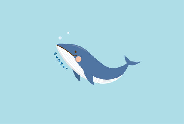 Whale Vector Art Graphics Freevector Com