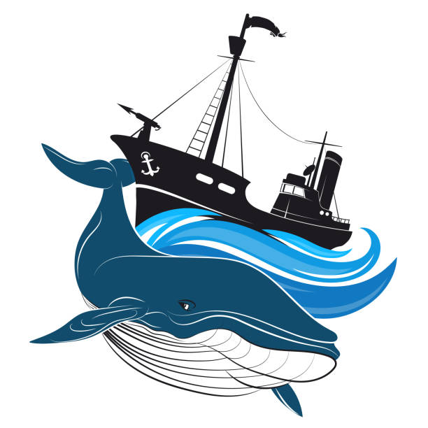 Image result for whalers clipart