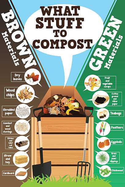 What Stuff to Compost A vector illustration of what stuff to compost infographic compost stock illustrations