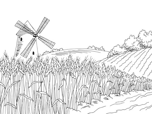 ilustrações de stock, clip art, desenhos animados e ícones de wheat field graphic black white landscape sketch illustration vector - cereal field