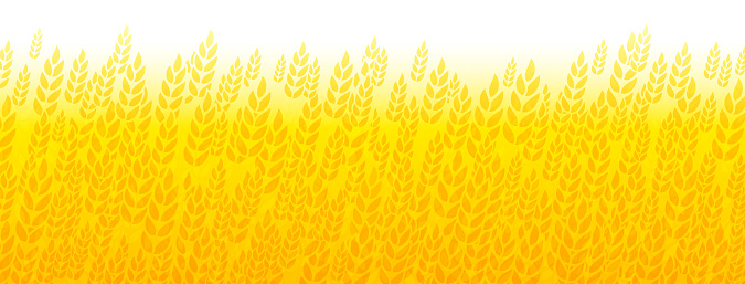 Wheat Grain Harvest Field Abstract Background Border