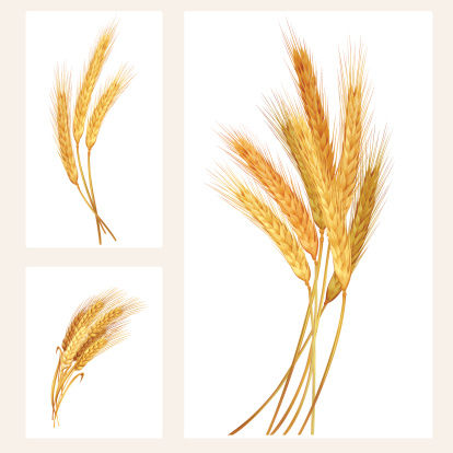 Wheat set