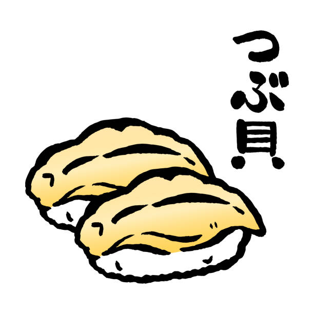 illustrations, cliparts, dessins animés et icônes de illustration vectorielle isolée de whelk sushi. traduction"whelk ». - bulots