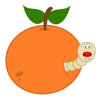 White and smiling maggot coming out of a juicy peach or apricot - vector