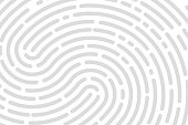White background fingerprint, print, banner identification Vector illustration