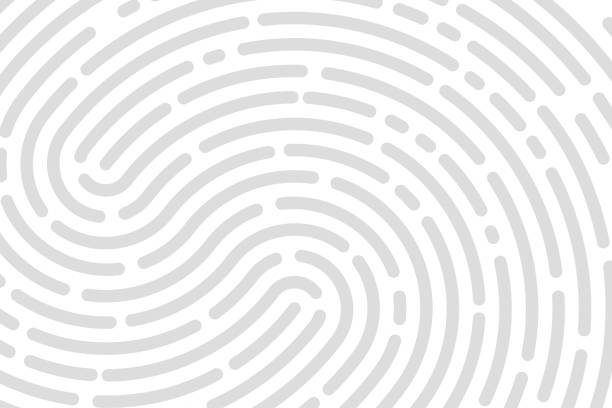 White background fingerprint White background fingerprint, print, banner identification Vector illustration fingerprint stock illustrations