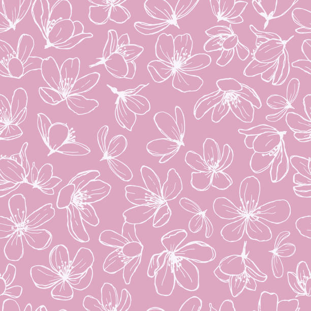 White blossom line flowers on pink background. Gentle spring floral seamless pattern. blossom illustrations stock illustrations
