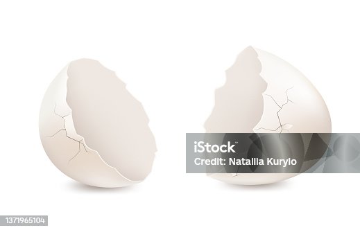 istock White broken egg on white background, eggshell. Vector. 1371965104