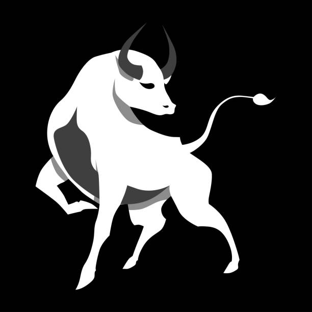 White bull on a black background. Farm animal. Zodiac sign. White bull on a black background. Farm animal. Zodiac sign. Vector illustration isolated for design and web. drawing of the bull head tattoo designs stock illustrations