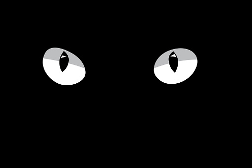 Download White Cats Eyes Isolated On Black Background Vector Design ...