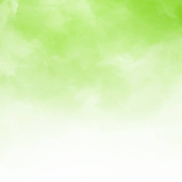 녹색 natral 배경과 텍스처 복사 공간에 흰 구름 세부. - 녹색 stock illustrations