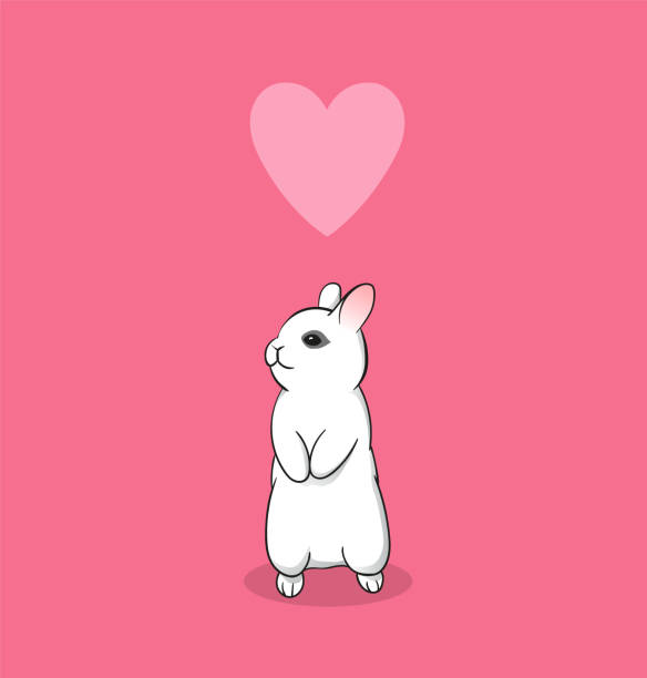 bildbanksillustrationer, clip art samt tecknat material och ikoner med vit söt liten kanin med hjärta på rosa bakgrund. alla hjärtans dag illustration med nederländerna dvärg sällskapsdjur kanin - dwarf rabbit