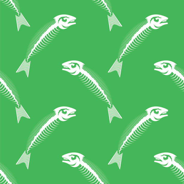 Skeleton Fish Logo Backgrounds Illustrations, Royalty-Free Vector