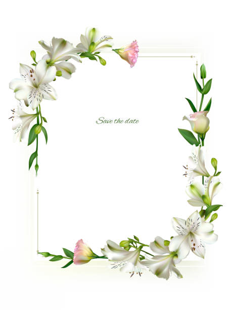 White flowers. Floral background. Green leaves. Eustoma. Lilies. White flowers. Floral background. Green leaves. Eustoma. Lilies. anniversary borders stock illustrations