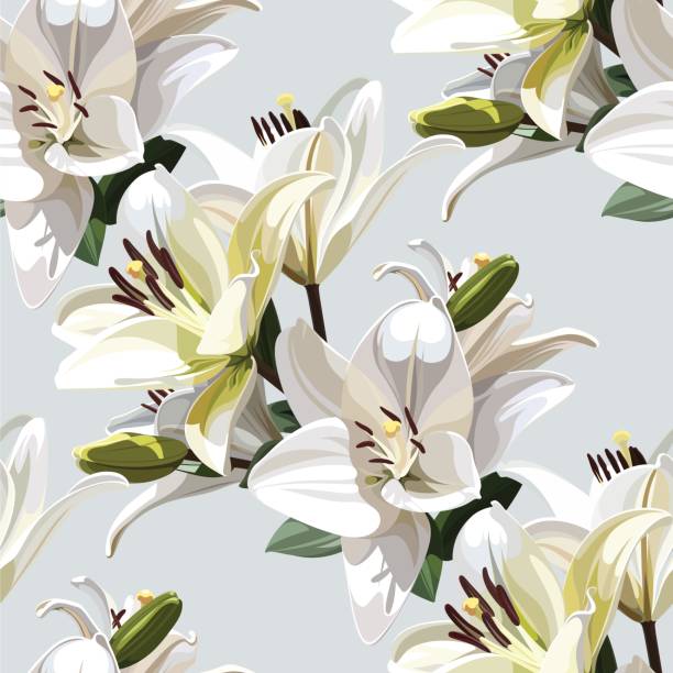 릴리 (마돈나 릴리)의 흰 꽃입니다. 원활한 밝은 배경에 꽃 패턴입니다. - madonna stock illustrations