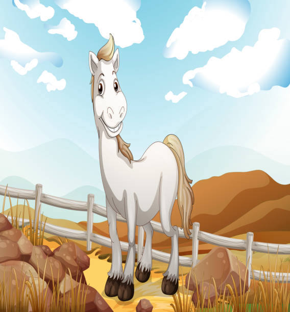 bildbanksillustrationer, clip art samt tecknat material och ikoner med white horse near the wooden fence - smiling earth horse