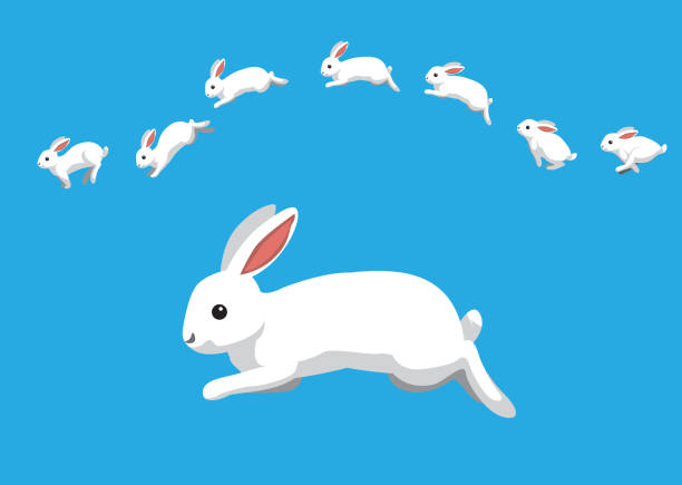 white rabbit jumping motion animation sequence cartoon vector illustration - kaninchen stock-grafiken, -clipart, -cartoons und -symbole