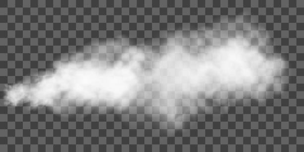 투명 한 배경에 고립 된 흰색 연기 퍼프. - 구름 풍경 stock illustrations