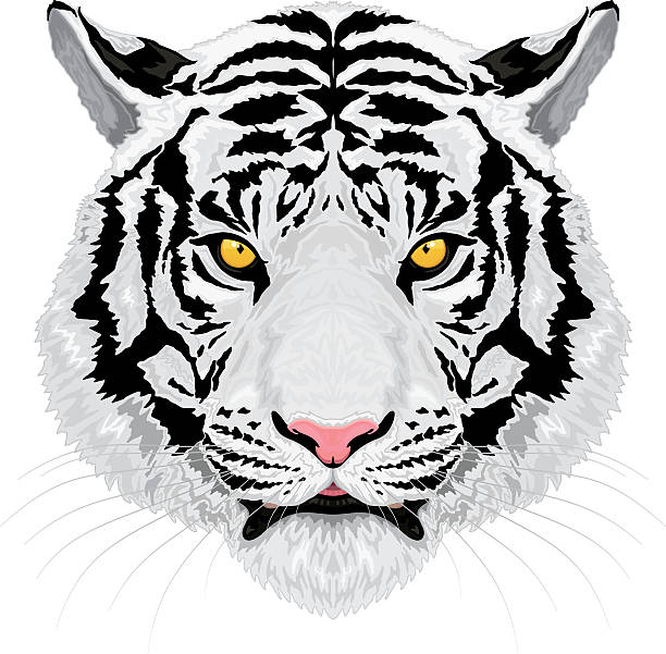 White Tiger Stripe Motif Vector 1457 Telecharger Vectoriel Gratuit Clipart Graphique Vecteur Dessins Et Pictogramme Gratuit