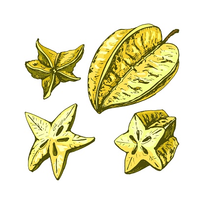 Whole and half star fruit. Vector color vintage hatching illustration isolated