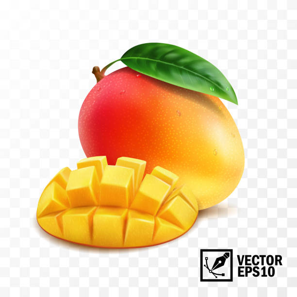 ganze und stücke mango-frucht mit blatt, 3d-realistischen isolierten vektor, editierbare handgefertigte masche - mango stock-grafiken, -clipart, -cartoons und -symbole