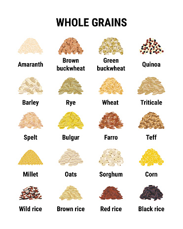 Whole grains infographic. Healthy cereal grains. Wheat, barley, brown rice, corn, buckwheat. Hand drawn vector illustration