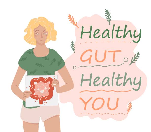 ilustrações de stock, clip art, desenhos animados e ícones de why gut health matters. horizontal vector poster. - alimentos sistema imunitário