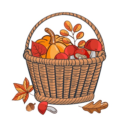 Wicker basket with pumpkin leaves. Vector illustration.