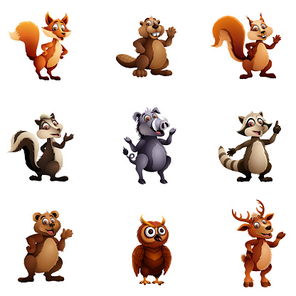 Wild Animal Characters