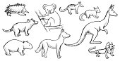 Vector animals doodles. Wild animals illustrations. All objects in groups and easy to edit. Kangaroo, wombat, koala, echidna, dingo dog, possum, numbat, marsupial anteater, frilled lizard, tasmanian devil.