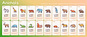 Wild animals color linear vector icon set. Outline symbol collection includes zebra, giraffe, lion, tiger, elephant, crocodile, snake, monkey, bear, penguin, fox, hare, bison, horse, camel and other