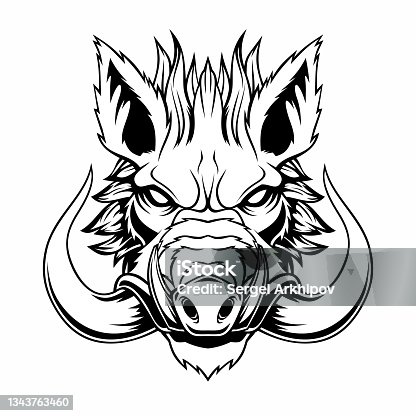 istock Wild boar head mascot. 1343763460