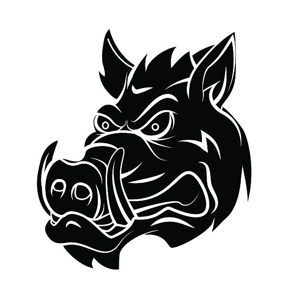 Best Wild Hog Illustrations Royalty Free Vector Graphics  Best Wild Hog Illustrations Royalty Free Vector Graphics