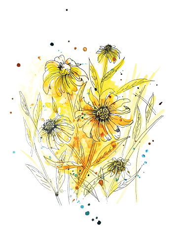 Wild Daisy Plant in Yellow Watercolor