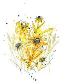 Hand painted watercolor wildflower or weed in yellows