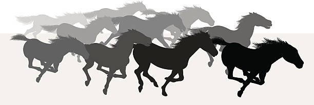 Wild Horses Stampede - Silhouette Background Wild Horses Stampede - Silhouette Background. Wild Horses Stampede. Silhouette illustration of a wild horse stampede. Check out my "Vectors Animals & Insects" light box for more. mustang stock illustrations