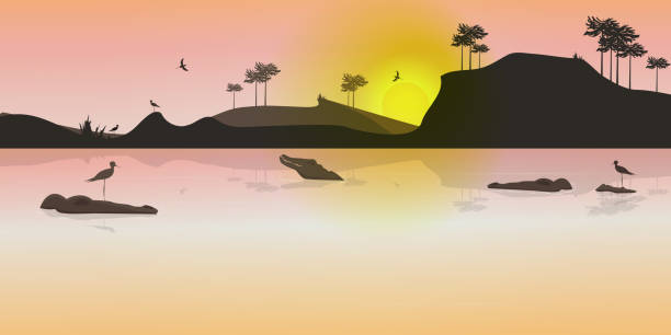 Wild landscape at sunset with crocodiles and birds. Flat design. Vector Illustration. Vector illustration. Tree Kangaroo stock illustrations