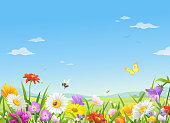 A meadow full of beautiful flowers, bees and butterflies in spring or summer. In the background is a landscape with hills and a bright blue, cloudy sky. Vector illustration with space for text.