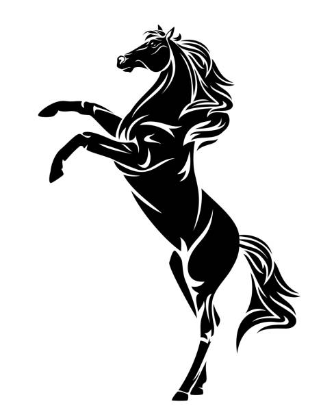 wild mustang horse rearing up black and white vector design rearing up wild horse - standing  mustang stallion black and white vector side view outline design mustang stock illustrations